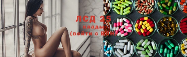 PSILOCYBIN Балахна