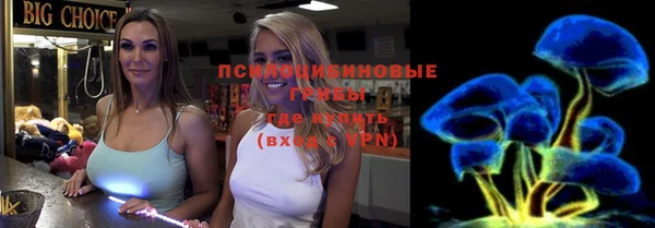 гашик Баксан