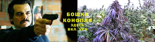 трава Армянск