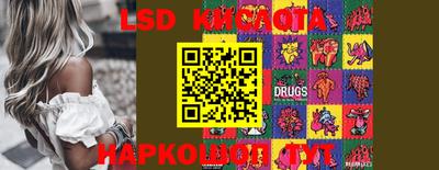 PSILOCYBIN Вышний Волочёк