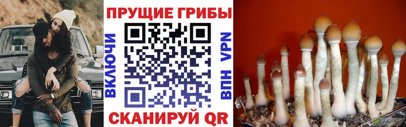 Галлюциногенные грибы Magic Shrooms Борисоглебск