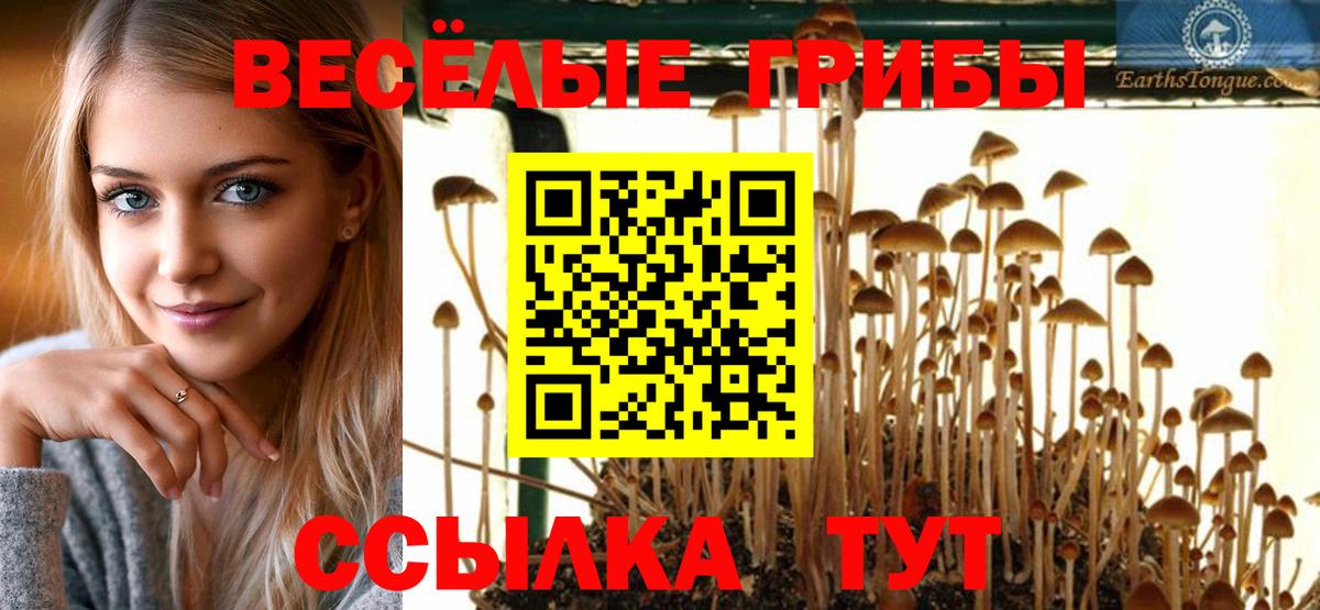 Галлюциногенные грибы ЛСД Борисоглебск
